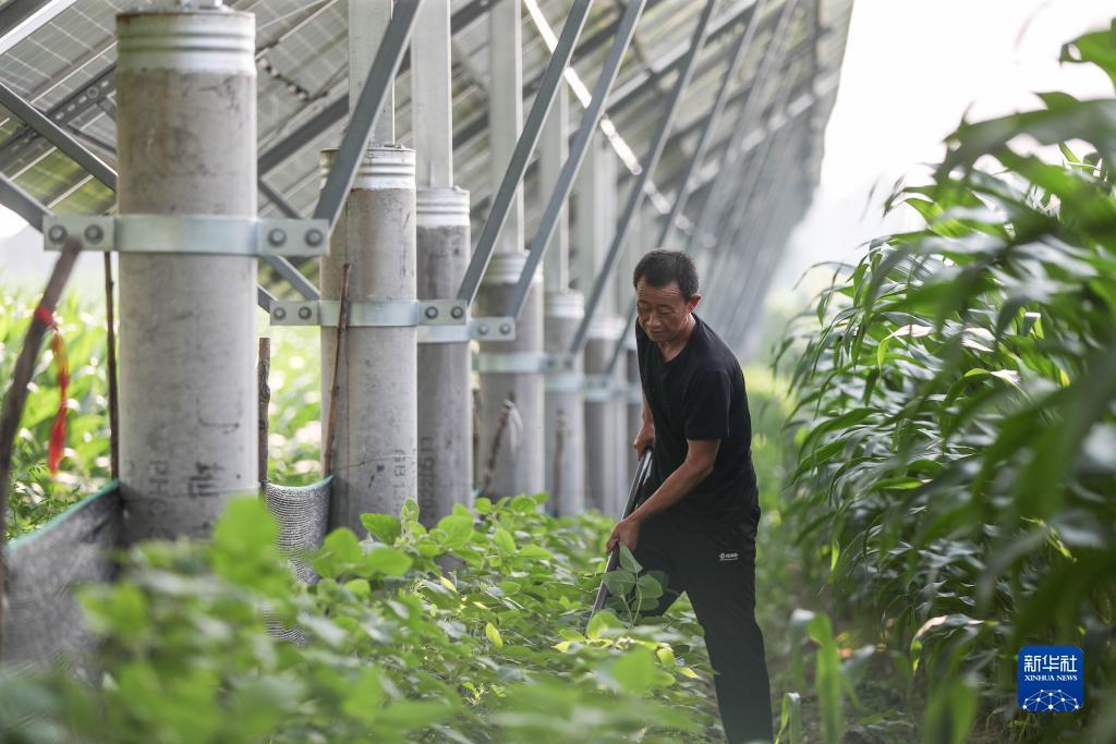 天天斗地主免费